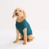 St. Johns Bark Dog Sweater In Green