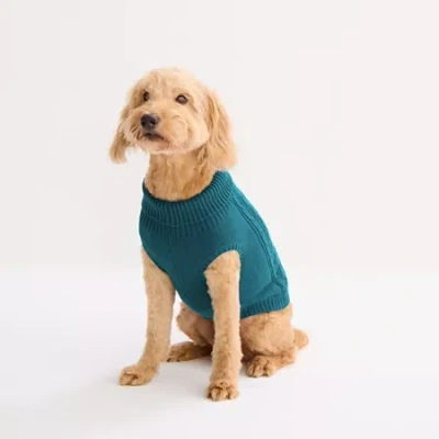 St. Johns Bark Dog Sweater In Green