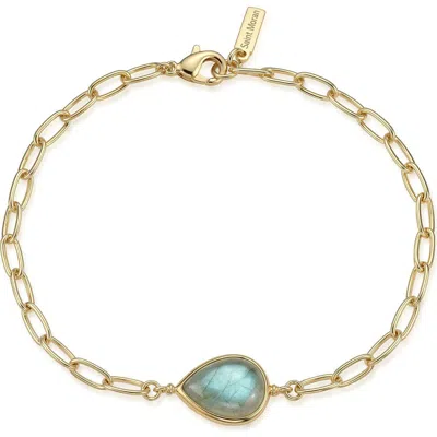 St. Moran 14k Gold Plated Labradorite Chain Bracelet In Green/gold