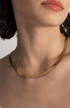 St. Moran Celine Lariat Necklace In Gold