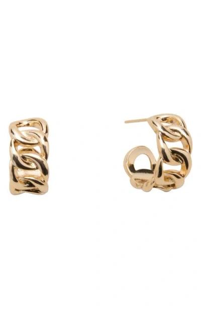 St. Moran Chubby Curb Chain Hoop Earrings In Gold