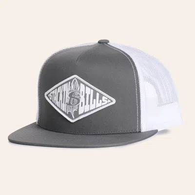 Stackin Bills Charcoal & White Quill Flat Bill Logo Cap In Gray