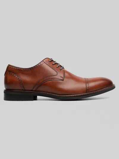 Stacy Adams Bailey Cap Toe Oxfords In Brown