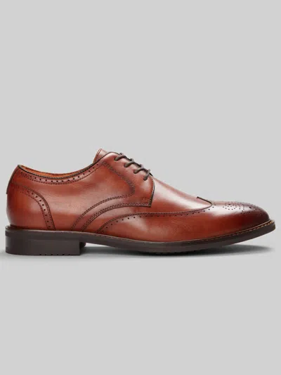 Stacy Adams Bennett Wingtip Oxfords In Brown