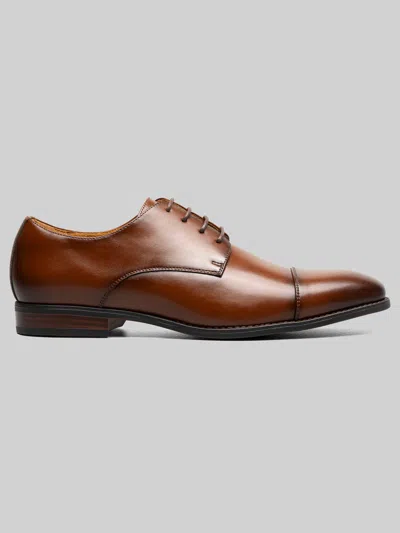 Stacy Adams Nelson Cap Toe Oxfords In Brown
