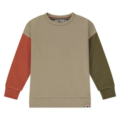 Stains And Stories By Babyface Colorblock Crewneck Sweatshirt In Green