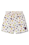 Stan Ray Miki Shorts In Aop Fruit Print