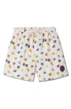 Stan Ray Miki Shorts In Brown