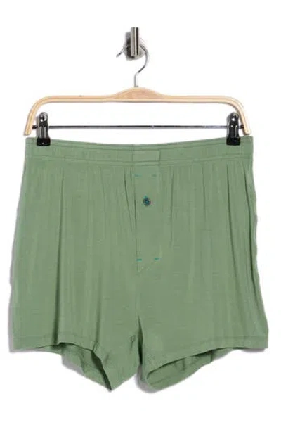 Stance Boxer Briefs In Green