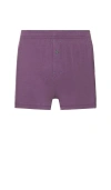 Stance Butter Blend Boxer In Grape