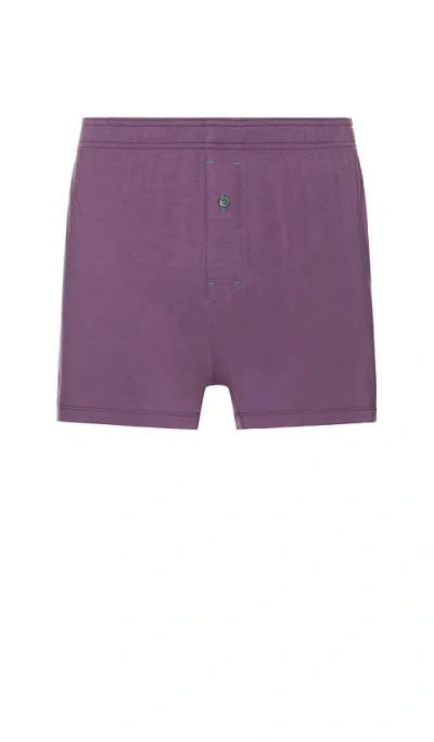 Stance Butter Blend Boxer In Grape