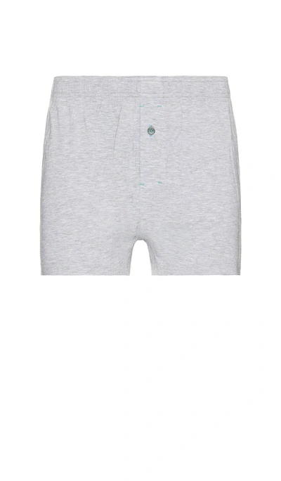 Stance Butter Blend Boxer In Heather Grey