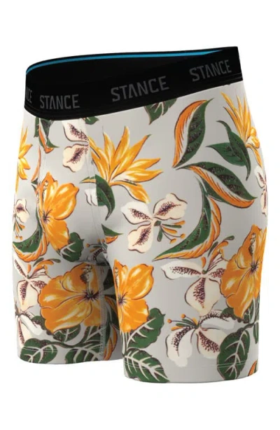 Stance Kahuku Wholester Boxer Briefs In Multi
