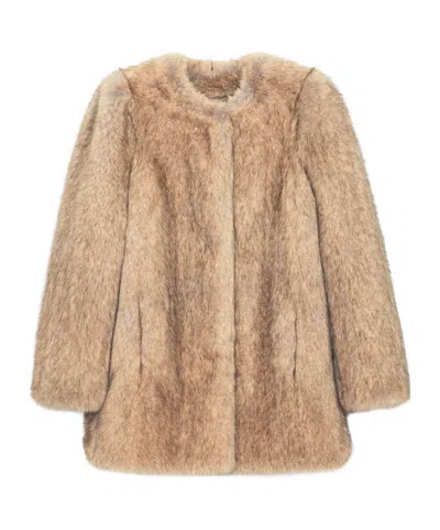 Stand Studio Sadie Crewneck Jacket In Brown