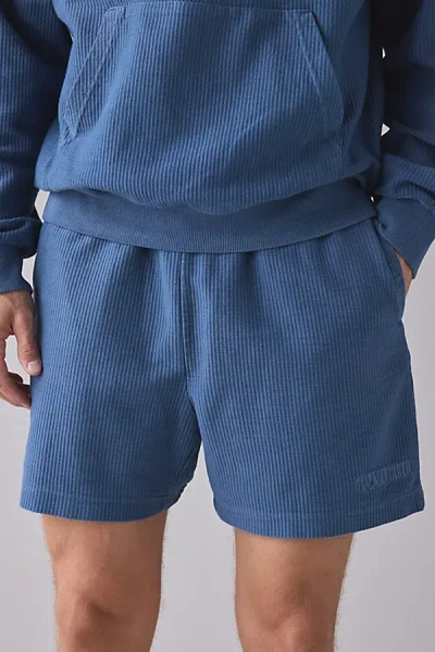 Standard Cloth Ribbed Short In Blue, Men's At Urban Outfitters