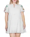 Standards & Practices Embroidered Sleeve Cotton Eyelet Dress In White