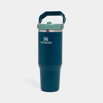 Stanley Iceflow Flip Straw Tumbler (30 Oz.)