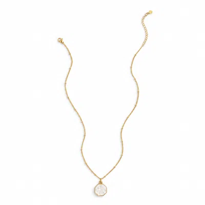 Starfish Project Cherished Reflections Locket In Gold