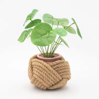 Starfish Project Unbound Planter In Multi