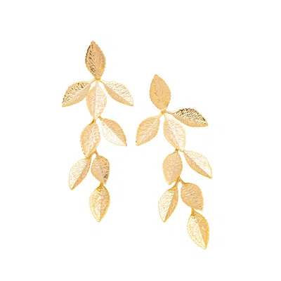 Starfish Project Women's Golden Cascade Leaf Earrings