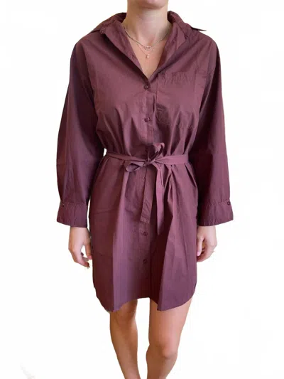 Starkx Cora Mini Dress In Plum In Purple