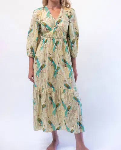 Starkx Porto Dress In Peacock Print In Multi