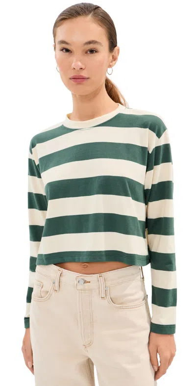 State & Lake Cricket Tee Garden/banana In Green