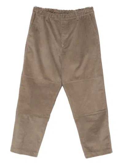 State Of Order Panelled Corduroy Trousers In Brown