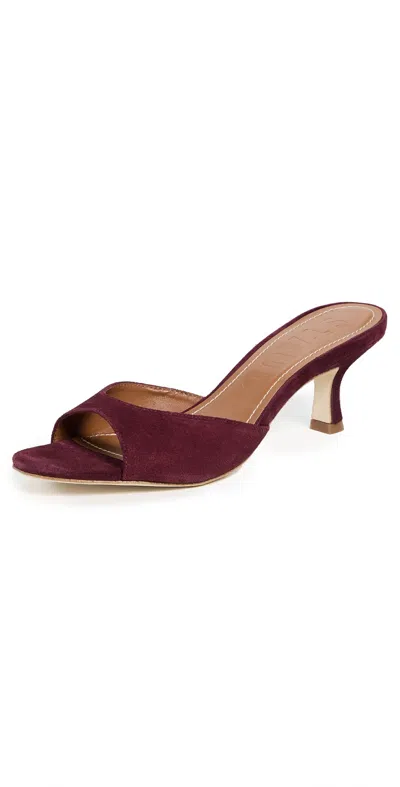 Staud Brigitte Mules Syrah