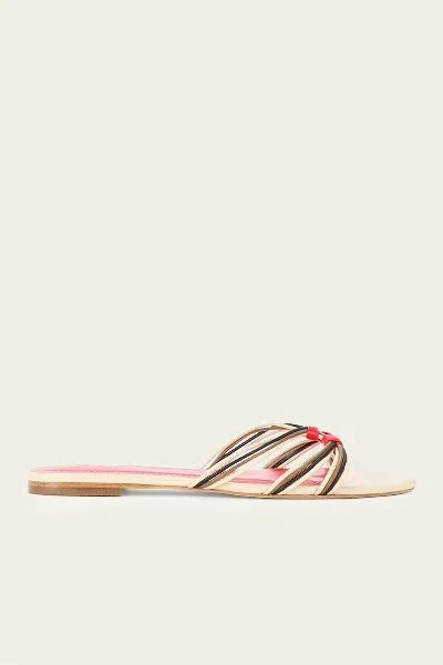 Staud Carrie Sandal In Cream Red Rose In Multi