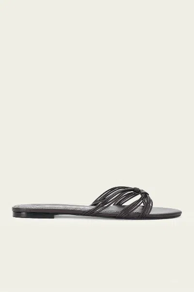 Staud Carrie Sandal In Espresso In Black
