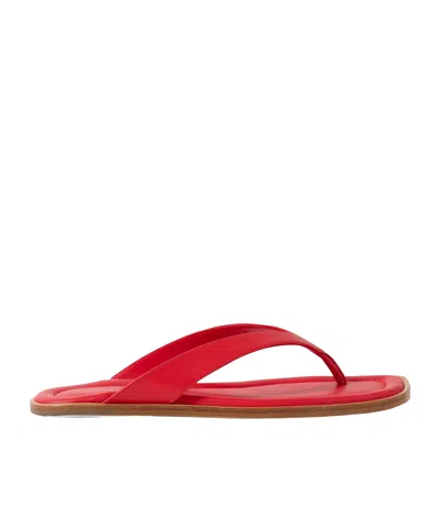 Staud Dante Leather Thong Sandals In Red
