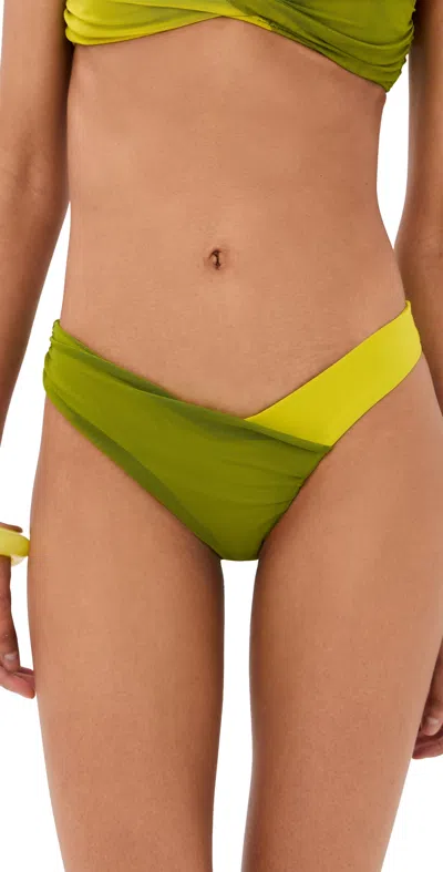 Staud Emsley Bikini Bottoms Citron/pesto In Green