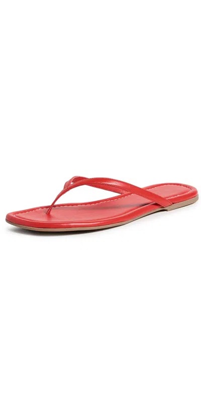 Staud Freja Thong Sandals Red Rose In Multi