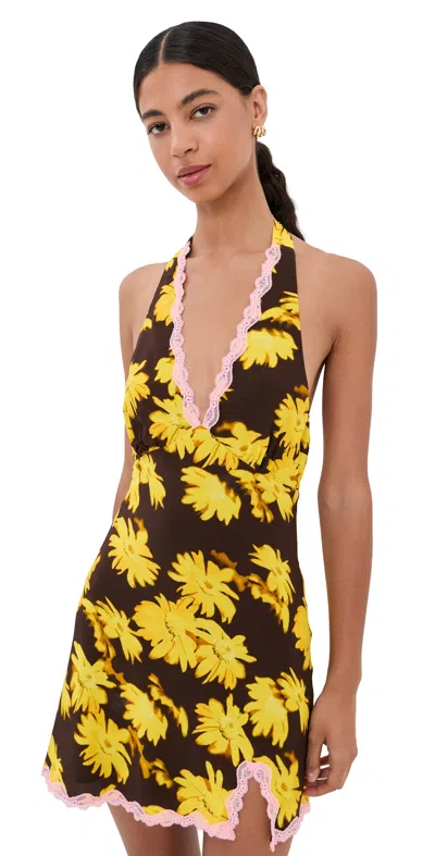 Staud Lucca Mini Dress Golden Daisy In Multi