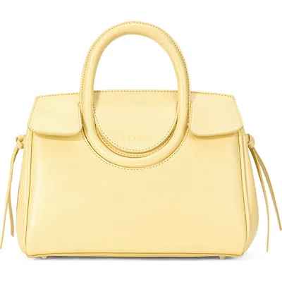 Staud Mini Maude Leather Carryall Bag In Red