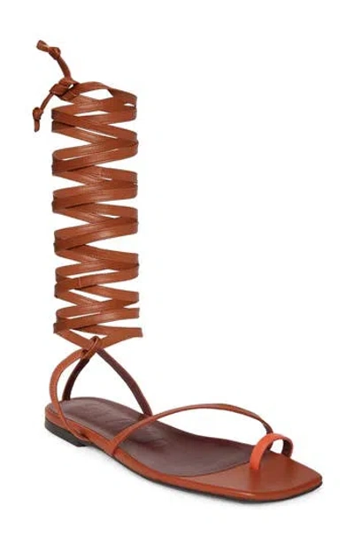Staud Nicola Gladiator Sandal In Blood Orange Tan