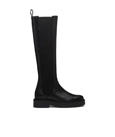 Staud Palamino Knee-high Boots In Black