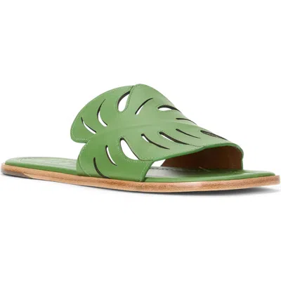 Staud Palm Slide Sandal In Leaf