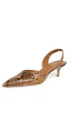 Staud Sebastian Slingback Heels Snake In Brown