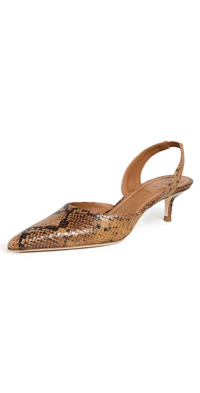 Staud Sebastian Slingback Heels Snake In Brown