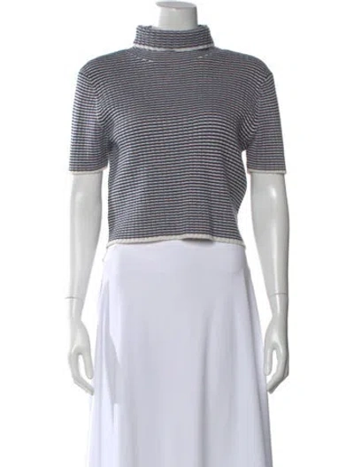 Pre-owned Staud Striped Turtleneck Sweater In Blue