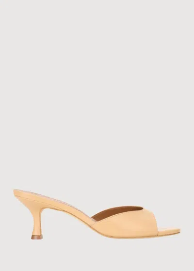 Staud Women's Brigitte Mule Sandal In Porcini In Multi