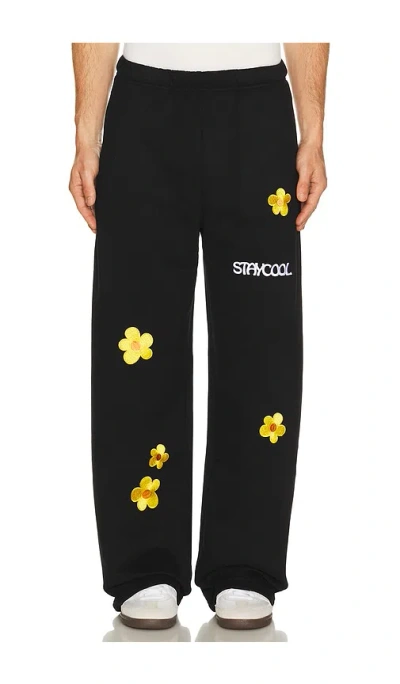 Stay Cool Sunflower Straight Sweatpants In Black