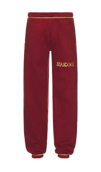 Stay Cool Sweathose Star In Burgundy