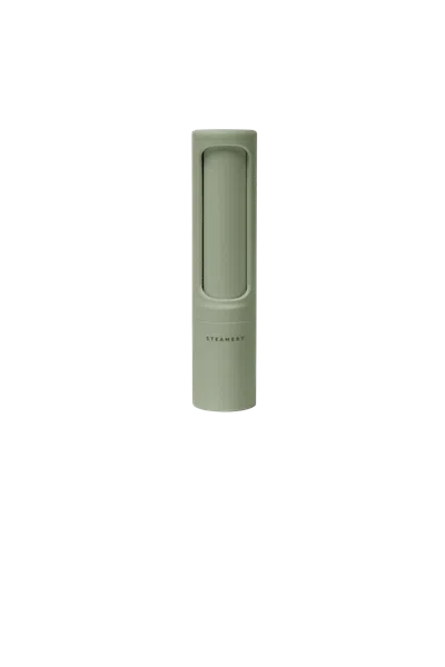 Steamery Lint Brush In Green