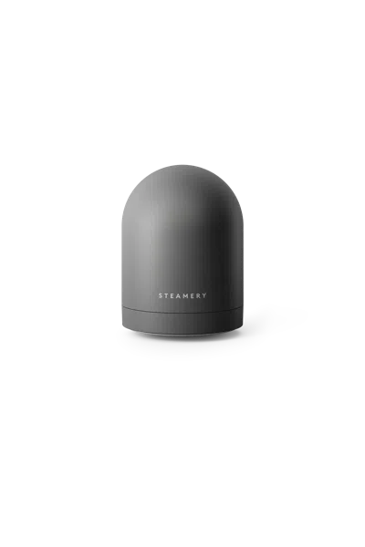 Steamery Pilo Icon Fabric Shaver Charcoal In Black