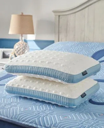Stearns & Foster Stearns Foster Dual Comfort Latex Pillows