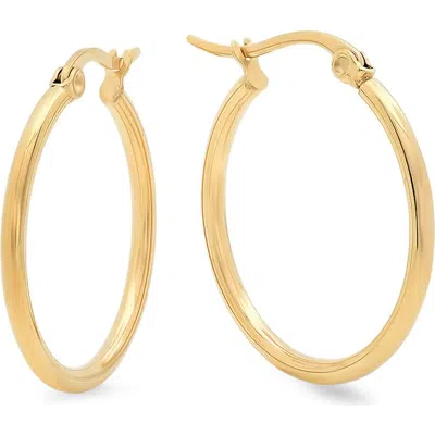 Steeltime 18k Gold Plate Hoop Earrings