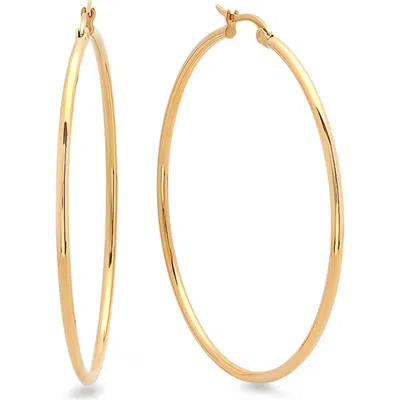 Steeltime 18k Gold Plate Hoop Earrings